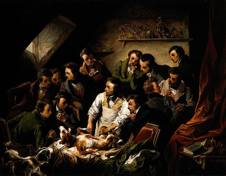 Émile-Édouard Mouchy, Une démonstration physiologique avec la vivisection d’un chien, 1832, Londres, Wellcome Library, domaine public, via Wikicommons